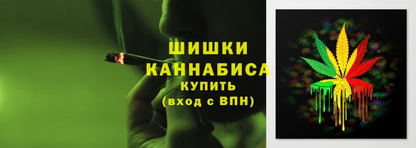 кокс Вяземский